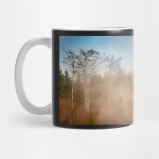 Mountain forest in fog Mug